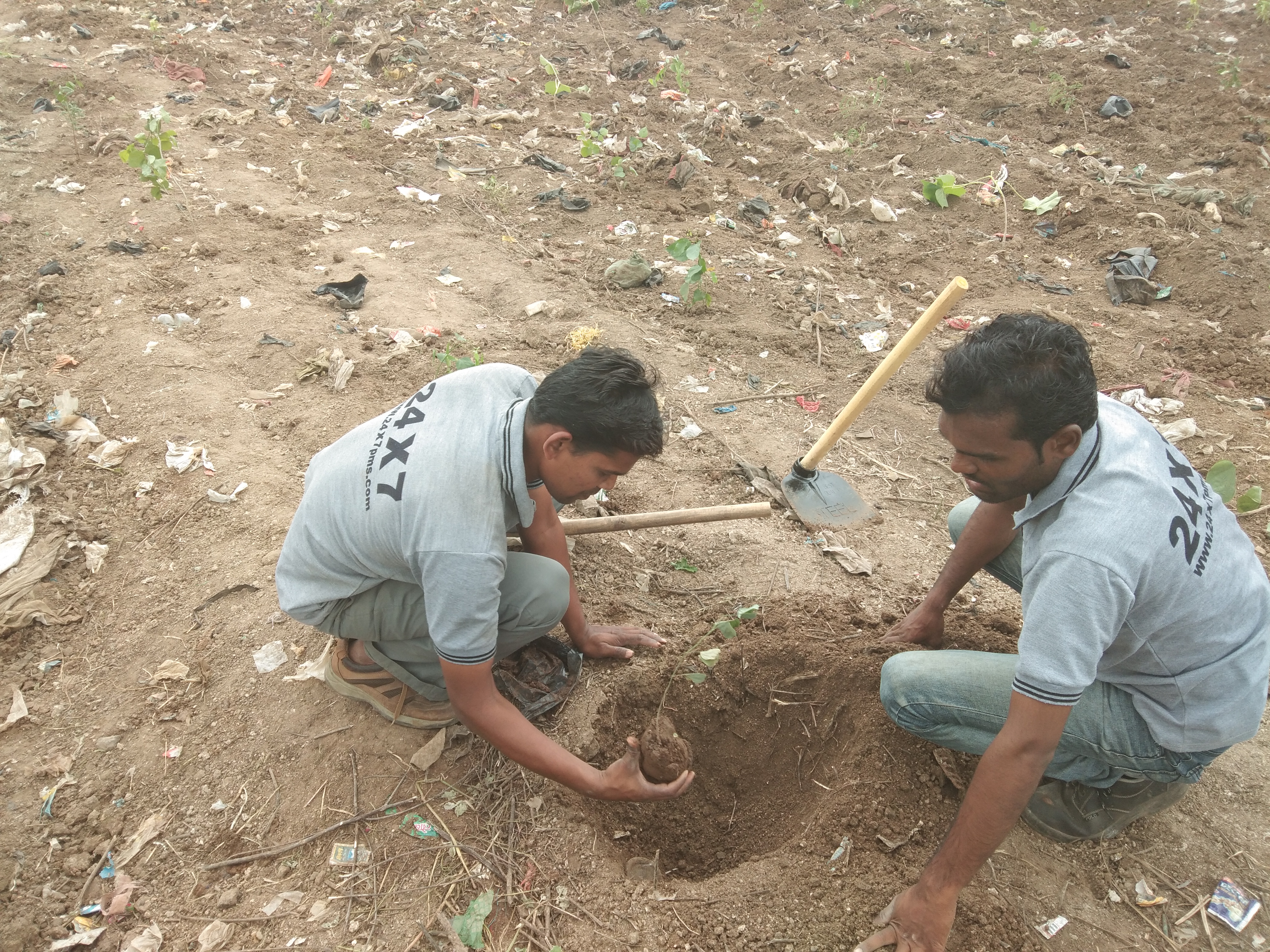 24x7PestManagementServices